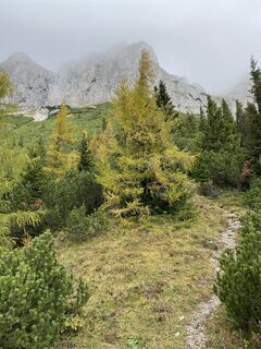 Foto von Ster entlang der Tour