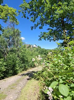 Photo de nordbergschnecke le long du parcours