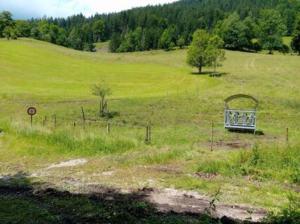 Foto von Wanderkatze entlang der Tour