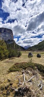 Fotografia z Albert Knollseisen na trase