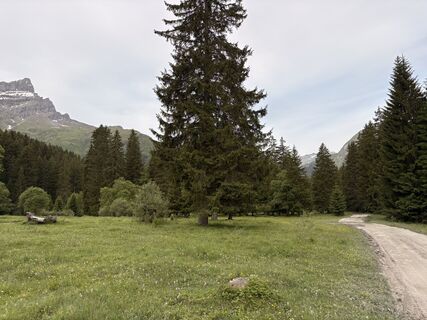 Fotografie z Stucki Sven na trase