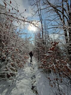 Photo de Angelika Poschinger-Reh le long du parcours