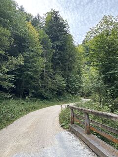 Fotografia z Heinz Sperl na trase