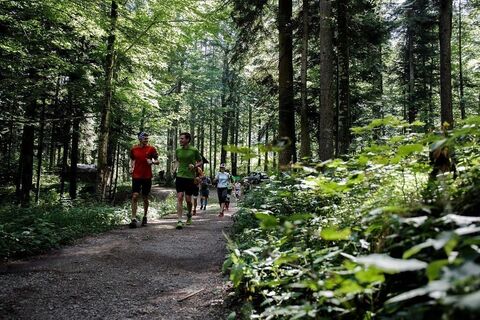 web-salamon-trailrunning-camp-ebbs-copyright-sportalpen-marketing-73©sportalpenmarketing.jpg