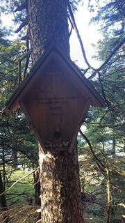 Zdjęcie z Bergpirat wzdłuż trasy