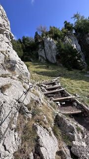 Foto von Mountain Cat ? ⛰️ entlang der Tour