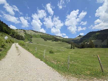 Fotografia z Gerhard Mild 1 na trase