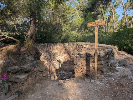 Photo de michael arnold 3 le long du parcours