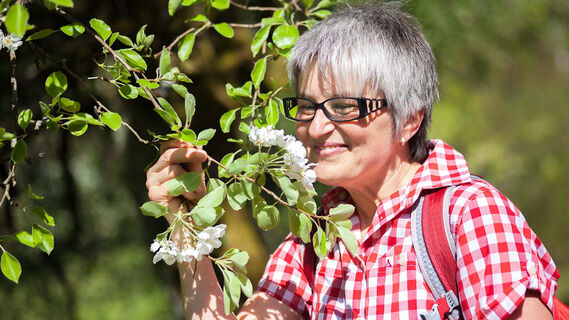 Das gibt mal leckere Kirschen :-)