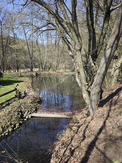 Zdjęcie z Björn Heun wzdłuż trasy