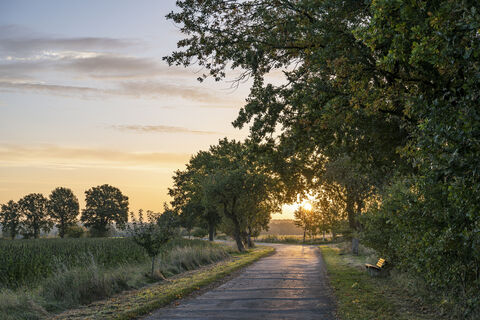 Frühherbst in der Ostheide bei Rohstorf