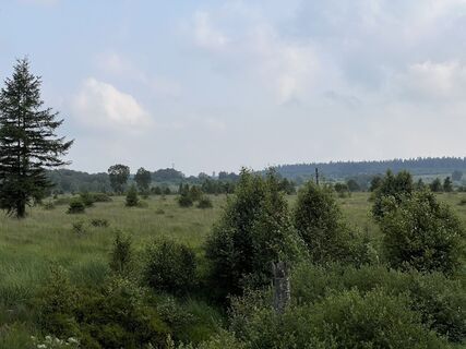 Fotografija s spletne strani Anton Gigele na poti