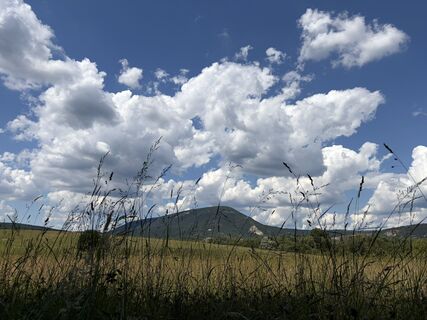 Fotografija s spletne strani Máté Ádám Schultheisz na poti