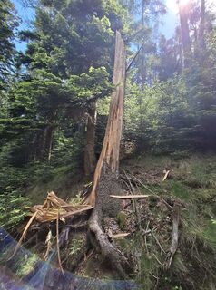 Foto von Markus Faustbeck 1 entlang der Tour