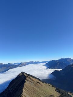 Fotografija s spletne strani Remo Fuchs na poti