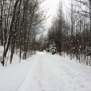 Winterspaziergang an der Ill