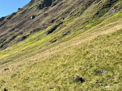 Photo de Stefan Knecht 1 le long du parcours