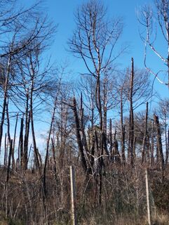 Fotografia z Stephane Cappellaro na trase