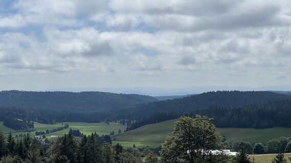 Foto van Volki F. langs de tour