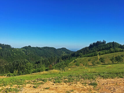 Aussicht Klikutt