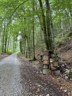 Foto von Denise Miller entlang der Tour