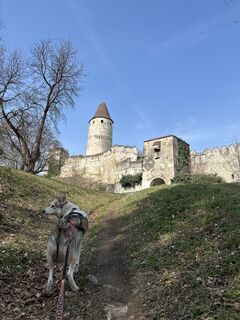 Photo de Mario Loibl le long du parcours