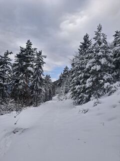 Ascher - Öhlerschutzhaus und retour