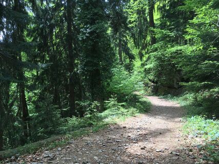 Foto von Sondermeier entlang der Tour