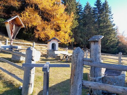 Fotografija s spletne strani ellenri na poti