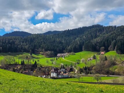 Gutach (Schwarzwaldbahn) Wandern