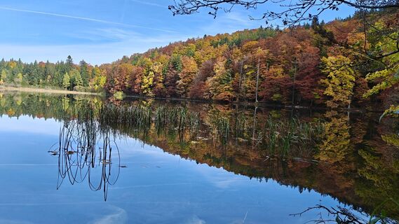 Foto van Wolfgang Wagner 7 langs de tour