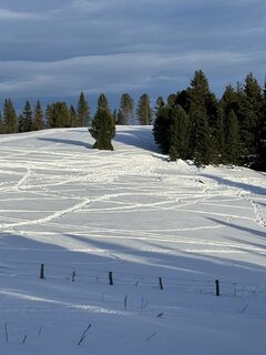 Fotografia z Schabsi na trase