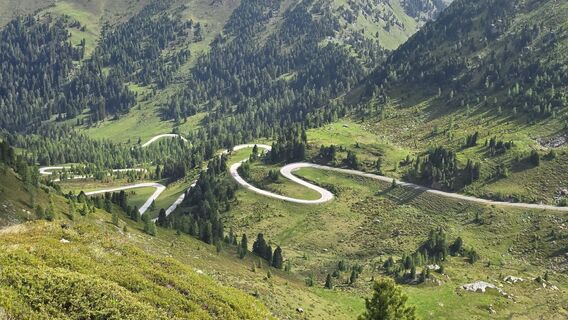 Photo de Monika Rohrer le long du parcours
