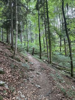 Zdjęcie z Robert - 1 wzdłuż trasy