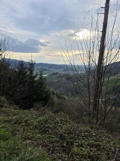 Zdjęcie z W B MA wzdłuż trasy