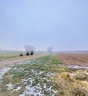 Photo de Christian Mark le long du parcours