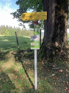 Foto von Anton Grill entlang der Tour