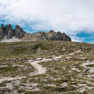 Trais-Fluors-Trail