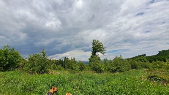 Foto von Anita Lunzer 1 entlang der Tour