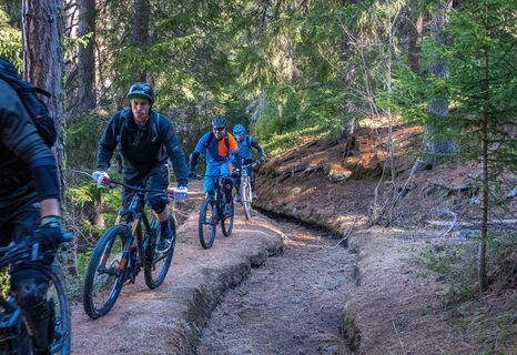 Mountainbiker entlang der Bisse