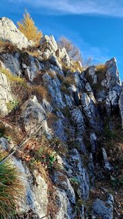 Fotografija s spletne strani Regina Fleischmann na poti