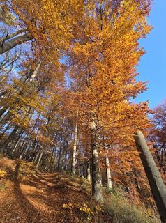 Foto von János Zsolt Mahr entlang der Tour