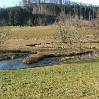 Mäander der Günz südlich von Ronsberg.