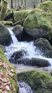 Photo de SchiMi780 le long du parcours
