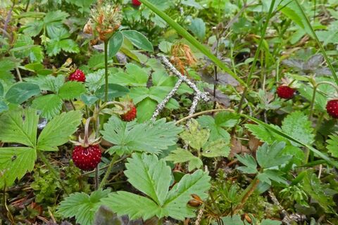 Steinriegel – Amundsenhöhe