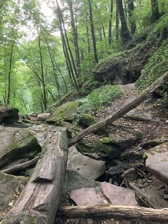 Fotografija s spletne strani Steffen Weibrecht na poti