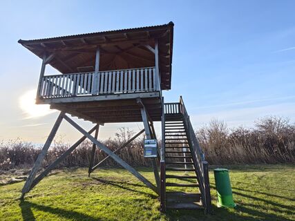 Fotografija s spletne strani Sabine na poti
