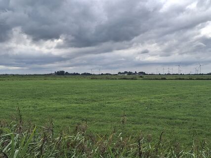 Foto von McSchimmy entlang der Tour