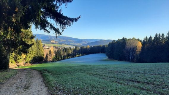 Fotografia z Chr Reichmann na trase