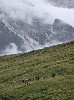 Foto von Veljko4 entlang der Tour